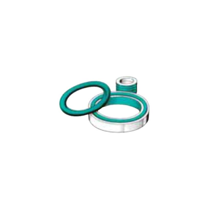 DuPont™ MOLYKOTE® 55 O-Ring Gres – Silikon Bazlı Conta Yağı | -65°C~+175°C | 100g - 2